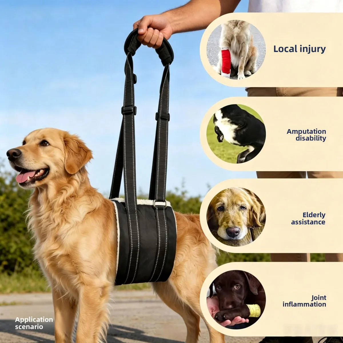 Vostara Pet Dog Rear Leg Injury Recovery Support Harness