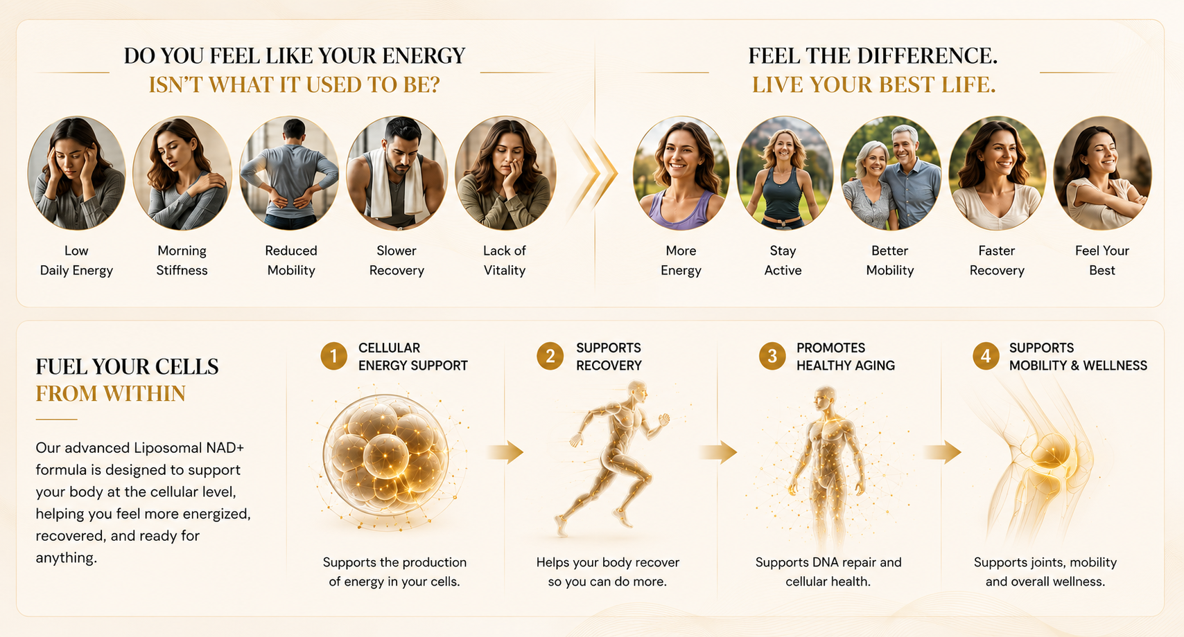 Vostara vitamin - Product Details 1