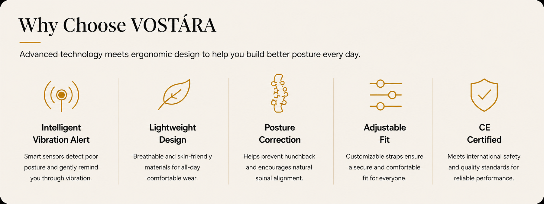 Vostara Posture Corrector - Product Details 1