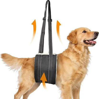Vostara Pet Dog Rear Leg Injury Recovery Support Harness